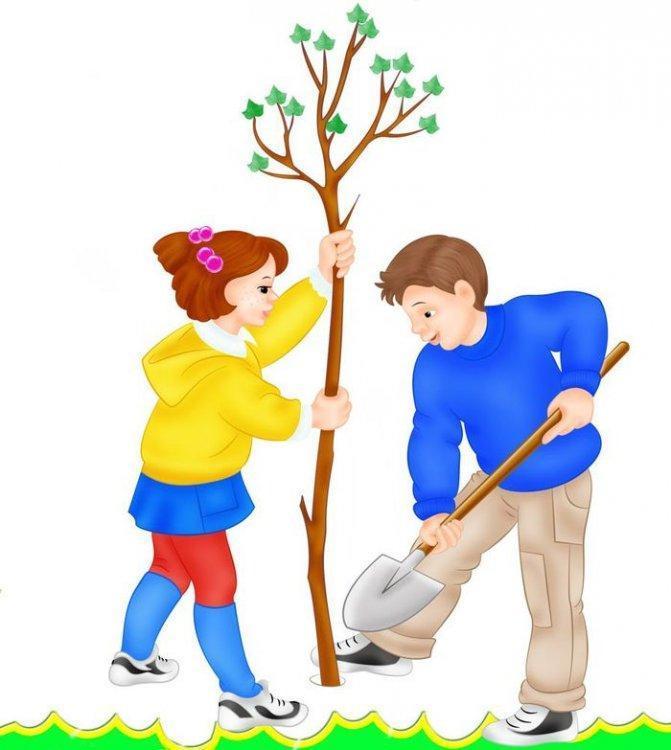 Сажаем деревья семьёй