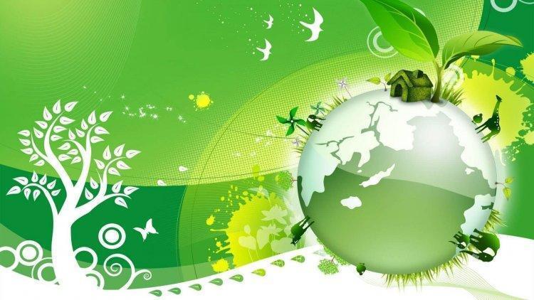 Неделя экологии