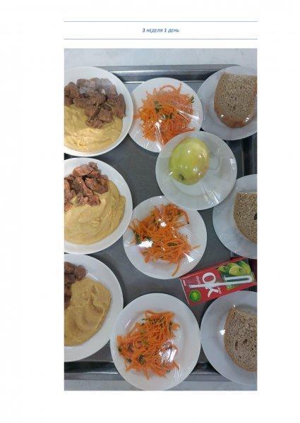 Ежедневное меню бесплатного питания с приложением фото блюд/ Фотосурет тағамдары бар күнделікті тегін тамақтану мәзірі