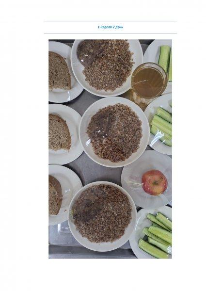 Ежедневное меню бесплатного питания с приложением фото блюд/ Фотосурет тағамдары бар күнделікті тегін тамақтану мәзірі